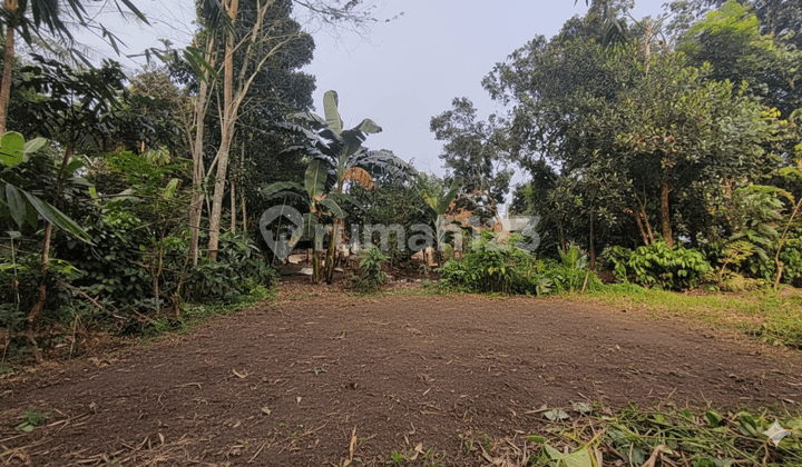 Cisauk Residential Plot Area, Near Cicayur Station