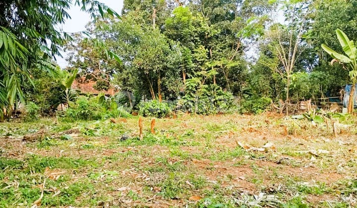 Dijual Kavling Tepi Jalan,Area Cisauk Dekat Perumahan Hiera