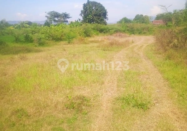 Land Area of 8100 Square Meters, Strategic Location in Berbah Sleman