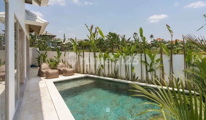 Villa Mezzanine Umalas. Near Canggu, Kerobokan. Full Furnish