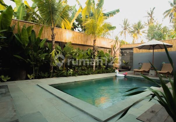 Brand New Tropical Villa In Mengwi. Near Ubud, Canggu. 4 Are