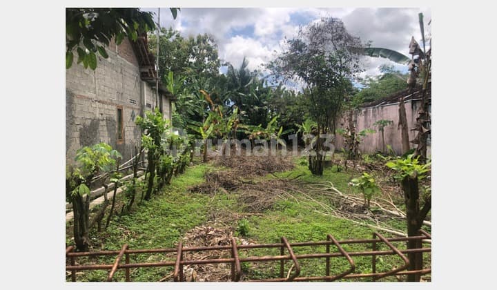 Tanah Pekarangan Murah di Pengasih Dekat Kampus Uny Wates
