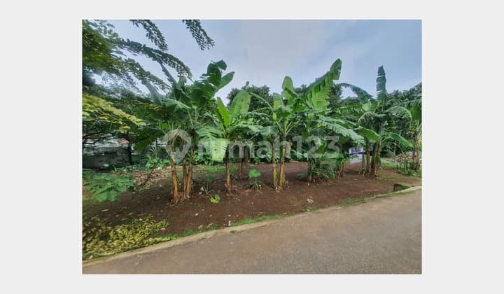 Tanah Luas Rangkapan Jaya, Banyak Potensi di Tengah Pemukiman