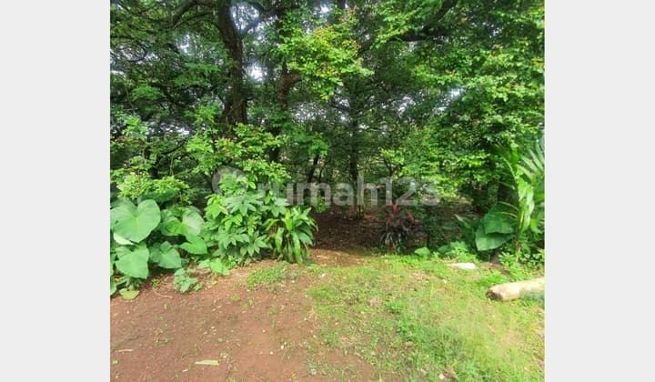 Tanah Murah Jarang Ada Area Rangkapan Jaya Dekat Detos