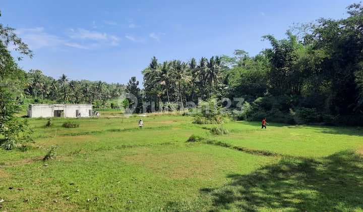 Tanah Kavling Murah Strategis di Nanggulan Kulon Progo