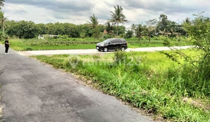 Di Jual Tanah Jogja Pandanaran 7 Menit ke Uii Kaliurang