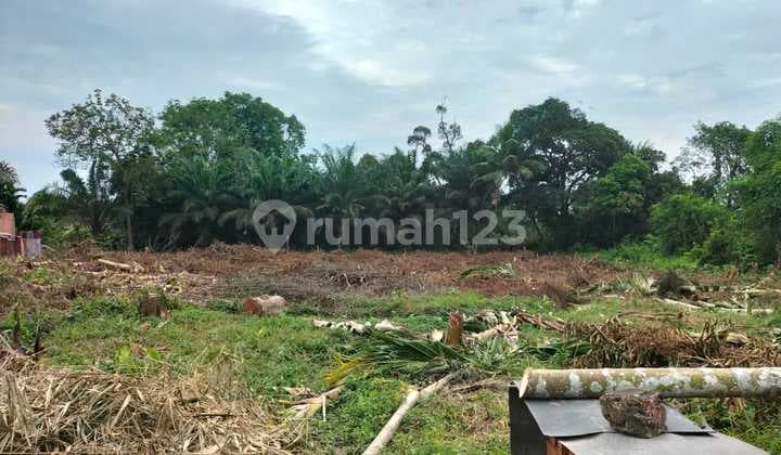 Land for Sale in Jambi, 5 Minutes to Talang Bakung Health Center