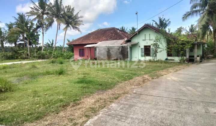 For Sale Cheap Land in Jogja 2 Minutes to Pratama Wates Tax Office