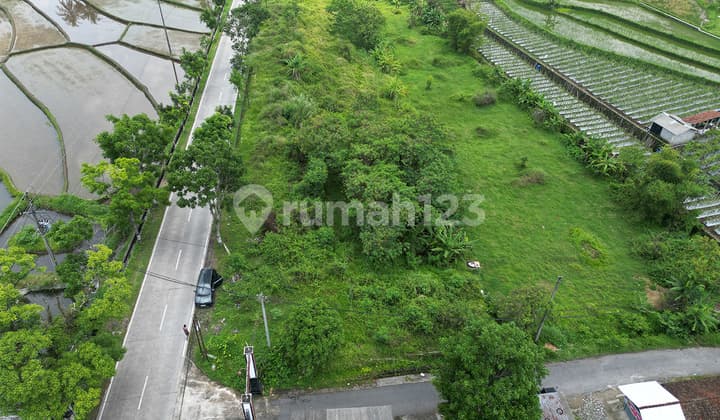 Mungkid Indah-Tanah Kavling Murah Siap Bangun Dekat Candi Borobudur