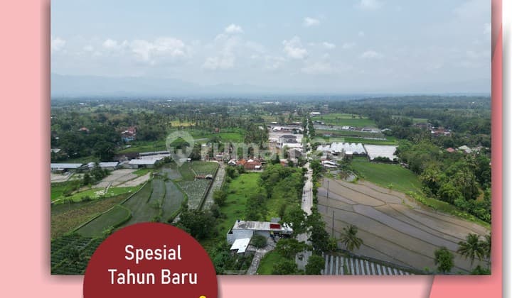 Dekat Candi Borobudur Tanah Strategis Magelang, Lingkungan Asri & Nilai Investasi Terus Naik