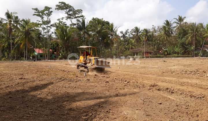 Moyudan, Sleman Land, Yogyakarta, near Moyudan 1 Elementary School