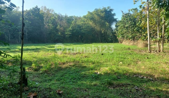 Bangunjiwo, Tanah Kasihan Bantul, Near Padma Residence Housing