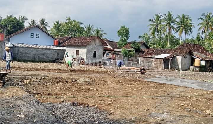 Tawangsari Pengasih, Tanah Kulon Progo, dekat Alun-Alun Wates