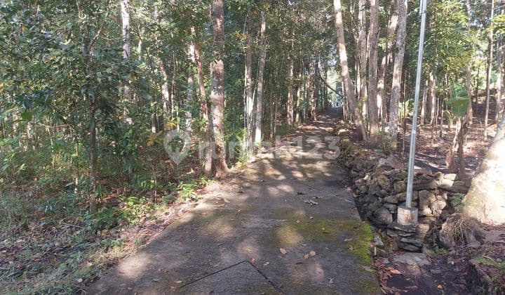 Bangunjiwo, Tanah Kasihan Bantul, Dekat RS Mitra Sehat Kasihan