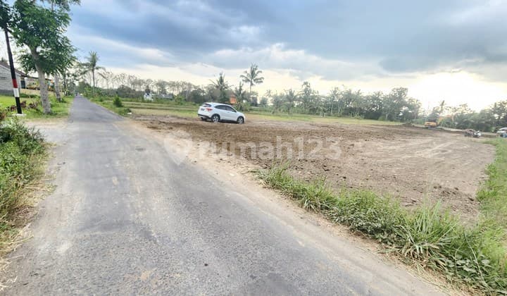 Candibinangun, Tanah Sleman Jogja, dekat Kopi Klotok