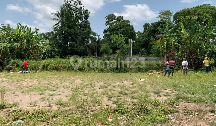 Tanah Dijual Jogja Utara Dekat Kampus Uii Jogja - SHM Pekarangan