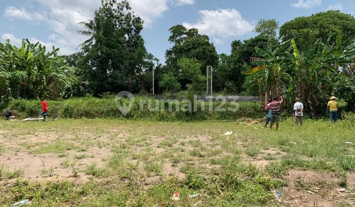 Tanah Dekat Sekolah Bias Jl. Kaliurang Km. 10 - Cocok Bangun Rumah SHM Pekarangan