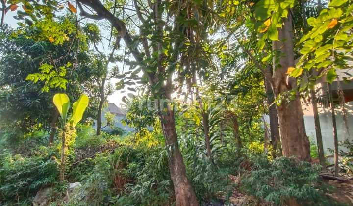 Tanah Kavling Strategis Di Meruya Utara 20x25 / 10x25 – Shm