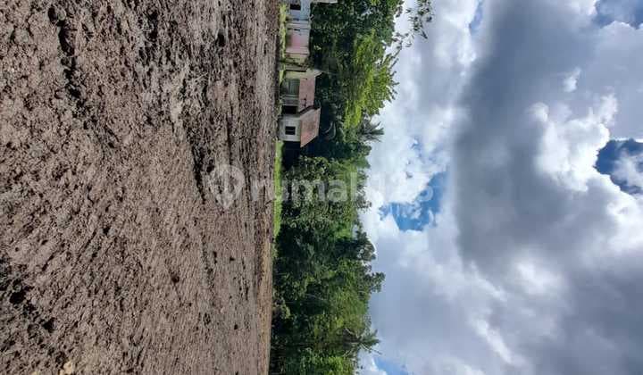 Jualan Kavling Murah Jogja, 2 JUTA-AN, Dekat Pusat Kota Jogja