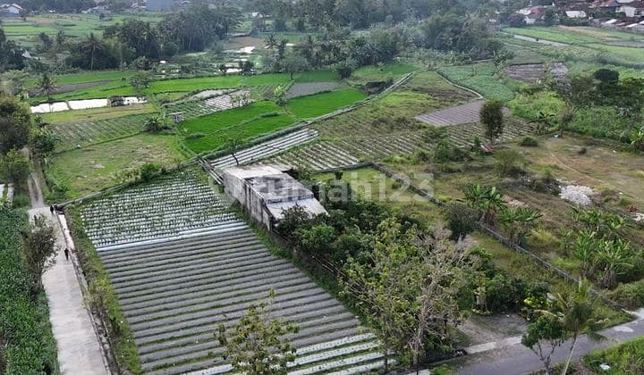 Dijual Tanah Murah Jogja, Dekat Kampus UII, Jl. Kaliurang Km.12