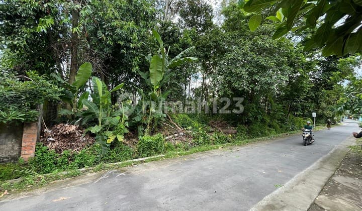 Land Area Beside Yogyakarta - Solo Kalasan