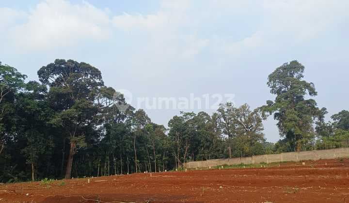 Tanah Sangat Murah Siap Bangun Shm Kota Semarang