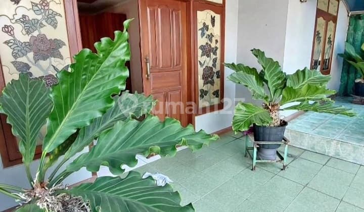 Jual Rumah Tanah Luas Harga Bersahabat Di Margahayu Raya