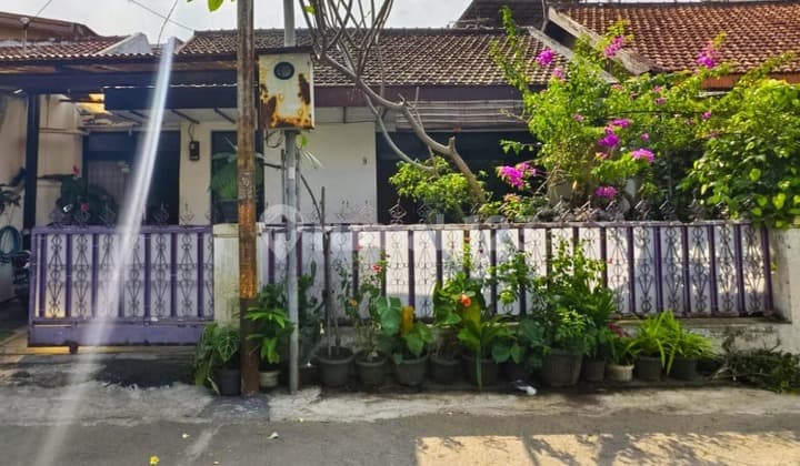 Jual Cepat Rumah Shm Di Sukaluyu