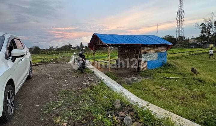 Tanah Batu Metro Dekat Dengan Amongtani View Menarik