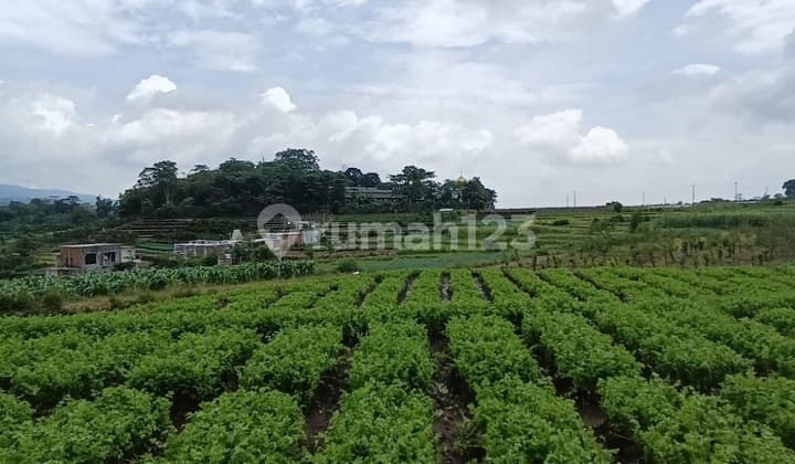 Dijual Tanah Strategis di Batu Temas Dekat Perum Athara