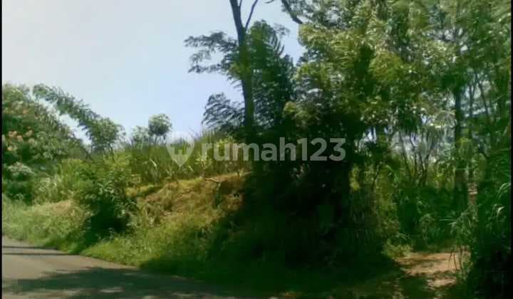 Dijual Tanah Poros Joyo Agung Kawasan Bisnis Dan Area Padat Kosan