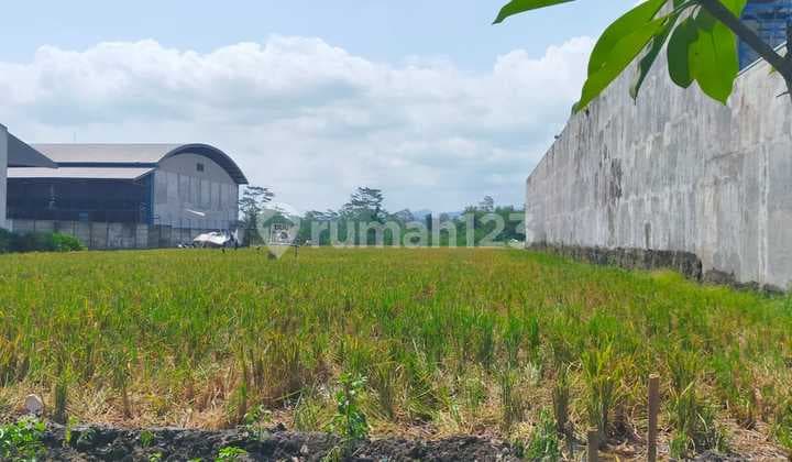 Tanah Pakisaji Strategis Zona Industri Dijual Murah