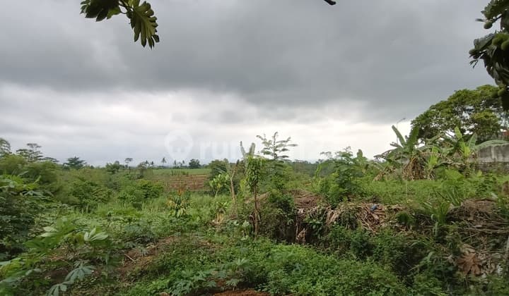 Tanah Pakisaji Murah Poros Jalan Provinsi Dekat P G Kebonagung