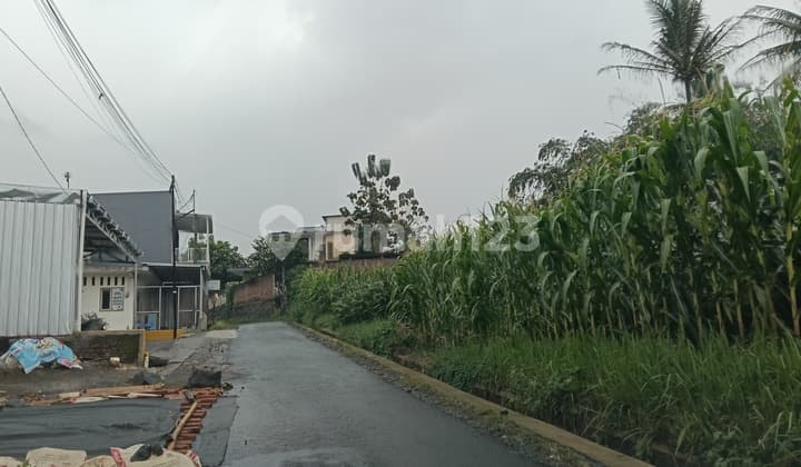 Tanah Singosari Strategis Dekat Poros Jalan Provinsi Surabaya Malang