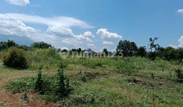 Tanah Purwosari Poros Jalan Surabaya - Malang Area Industri