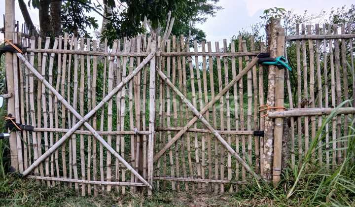 Tanah Murah Bululawang. Cocok Untuk Berkebun