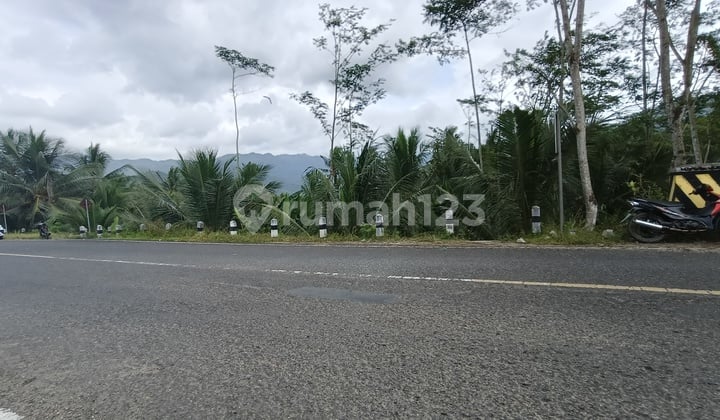 Tanah Poros Trenggalek Dekat Wisata Pantai Jalur Lintas Selatan