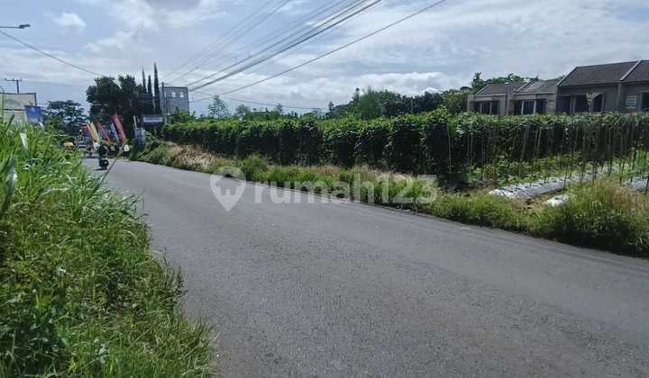 Dijual Tanah Strategis di Poros Joyoagung Area Pusat Bisnis Joyoagung