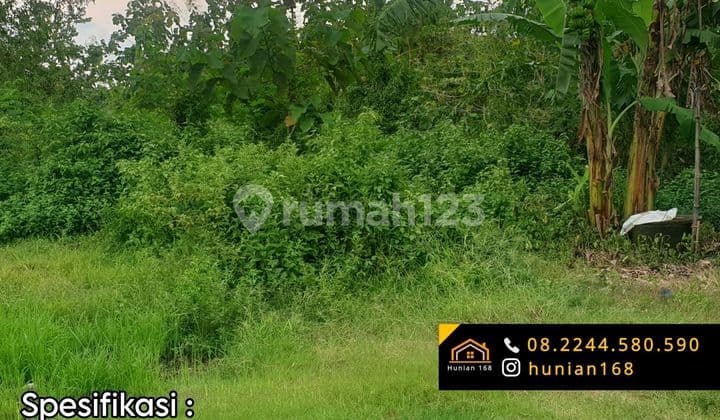 Tanah Kavling Gudang Bekas Pabrik Industri Raya Propinsi Provinsi Widang Tuban Jawa Timur Jatim