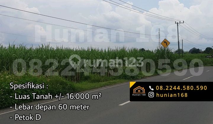 Tanah Gudang Developer Perumahan Ruko Komplek Ruko Raya Provinsi Propinsi Bromo Rejosalam Wonosalam Pasrepan Pasuruan Bengkel Workshop