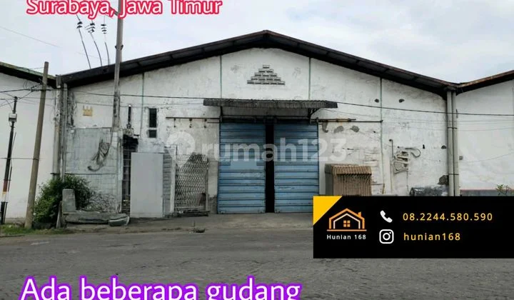 Sewa Gudang Pergudangan Margomulyo Angtropolis 46 31 Suri Mulia Permai Surabaya Sewa Gudang Pergudangan Margomulyo Angtropolis 46 31 Suri Mulia Permai Surabaya