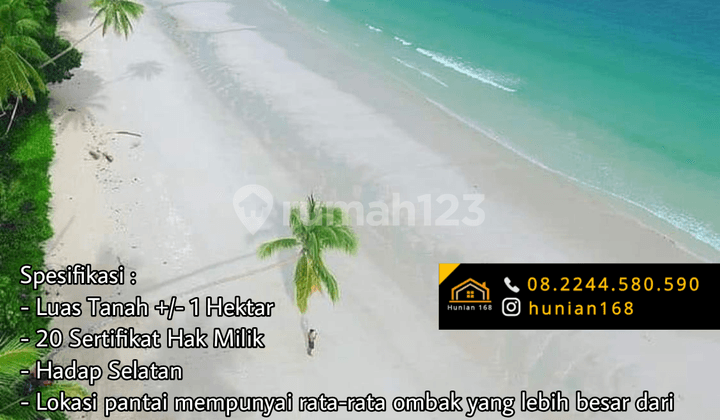 Tanah Pinggir Pantai Maluku Tenggara Barat Resort Hotel Villa Vila