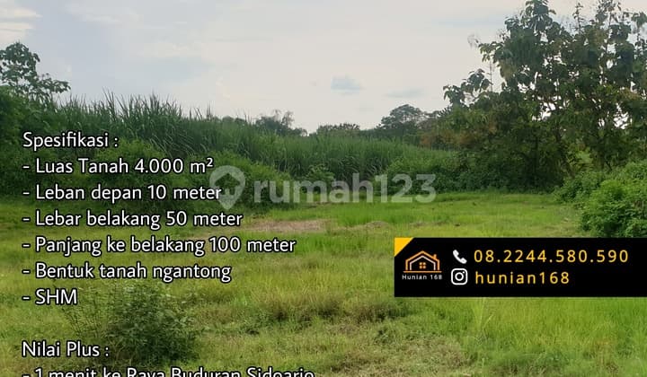 Tanah Pergudangan Perumahan Developer Raya Buduran Sedati Betro Gedangan Sidoarjo