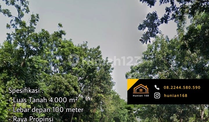 Industrial Land Factory Warehouse Provincial Highway Paiton PLTU Probolinggo