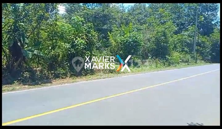 Turun Harga!Dijual Super Murah !! Tanah Strategis di Lintas Sumatera Lampung