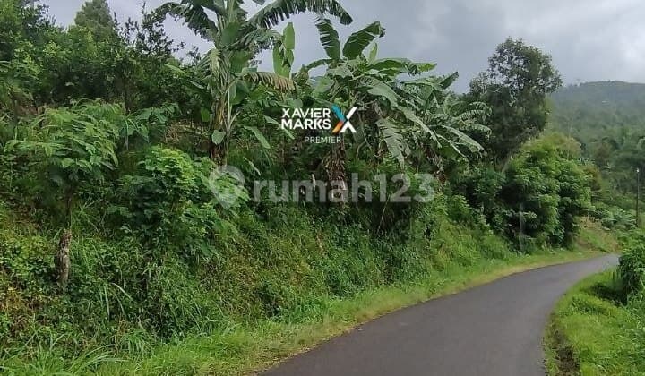 Dijual Murah di Dsn Precet, Wagir Malang