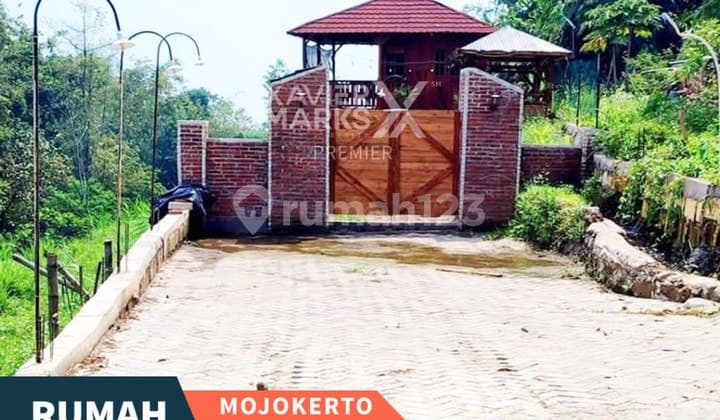 Rumah Kayu Jati Siap Huni di Cepokolimo, Kec. Pacet, Mojokerto