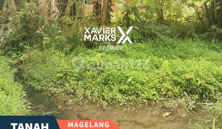 Rumah dan Tanah di Mungkid, Magelang Dekat Candi Borobudur Jawa Tengah