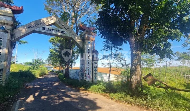 Tanah Shm 56.0 Ha Cocok Untuk Perkebunan Pertanian Perikanan