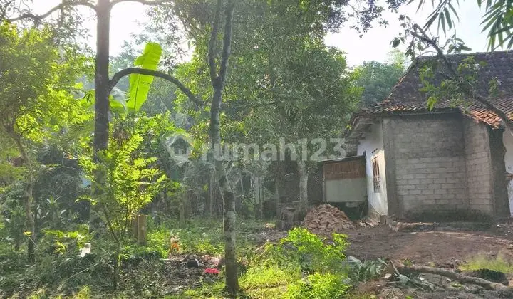 Dijual Tanah Pekarangan Lokasi Sangat Strategis